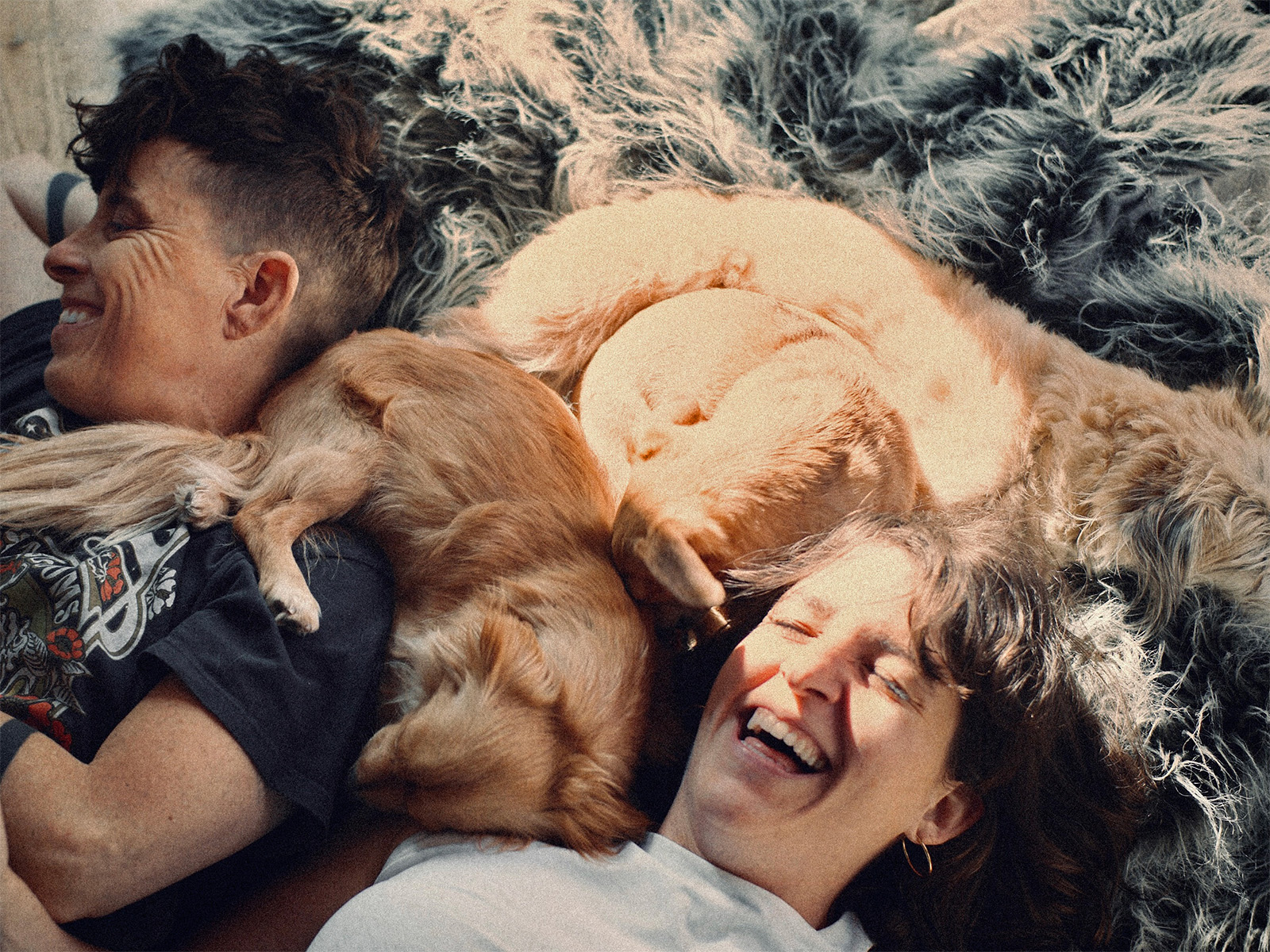 Two people and two dogs laughing on the floor