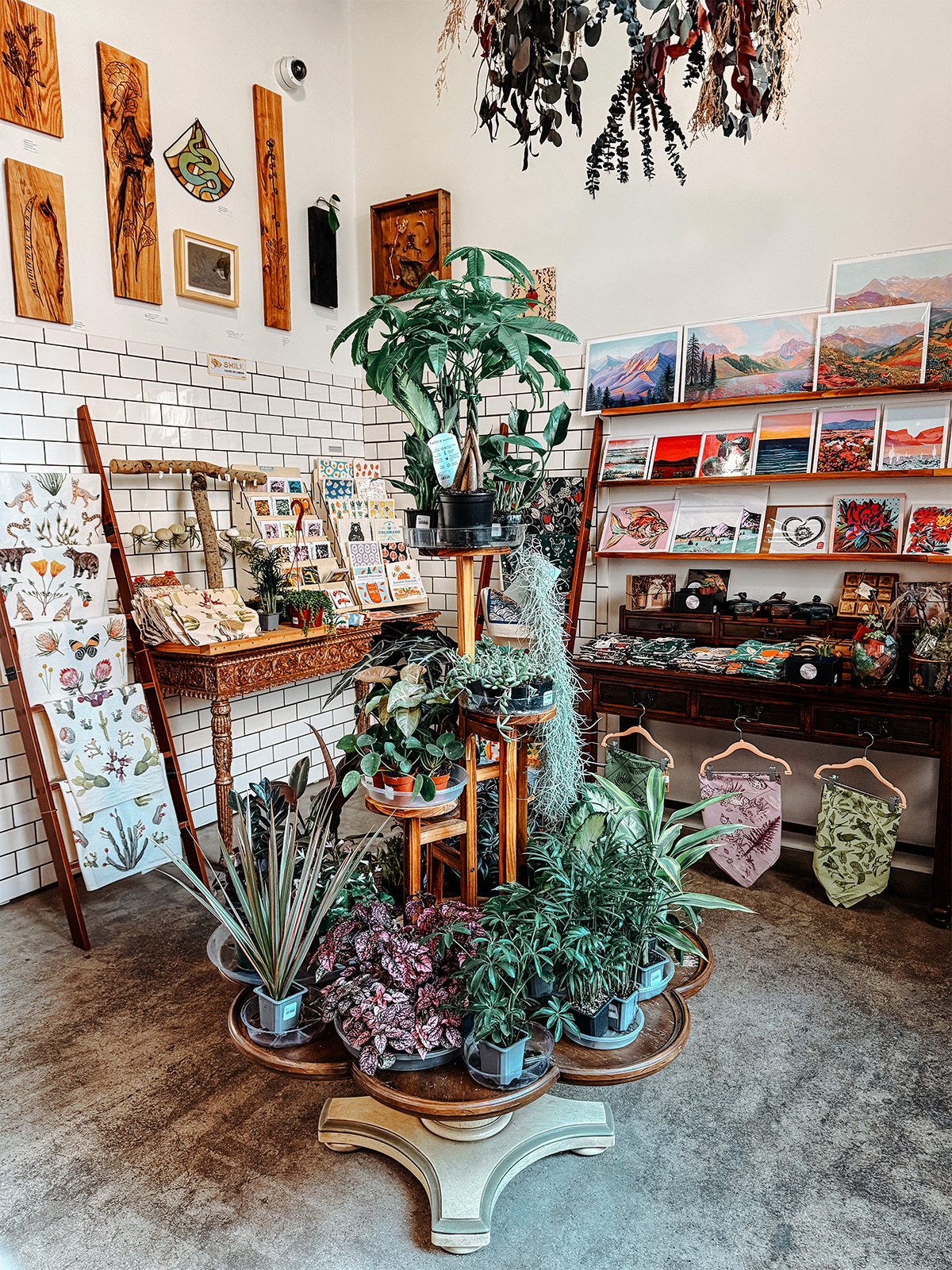Indoor plants displayed in front of stationery
