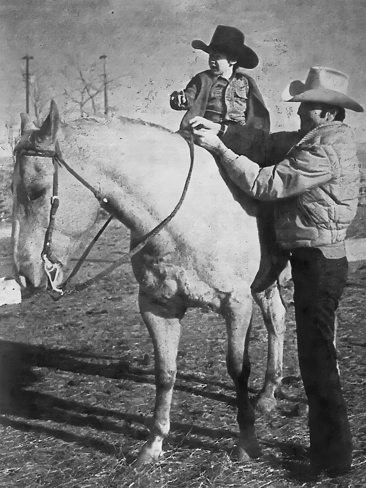 A young boy on a horse