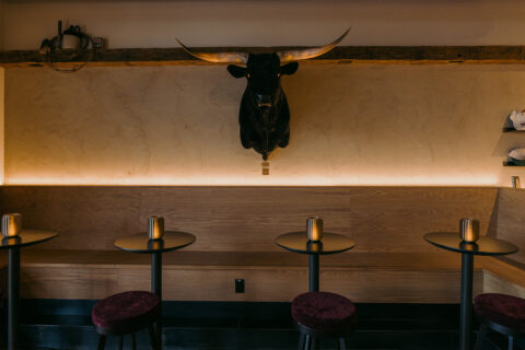 Taxidermy over four stools