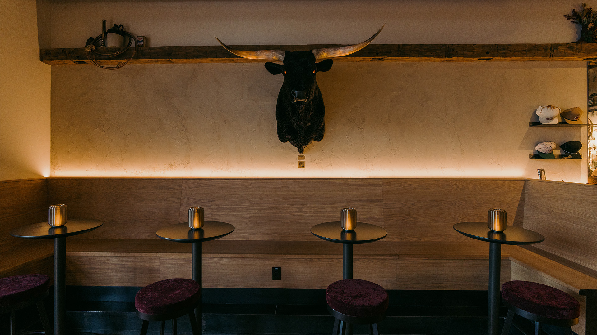 Taxidermy over four stools
