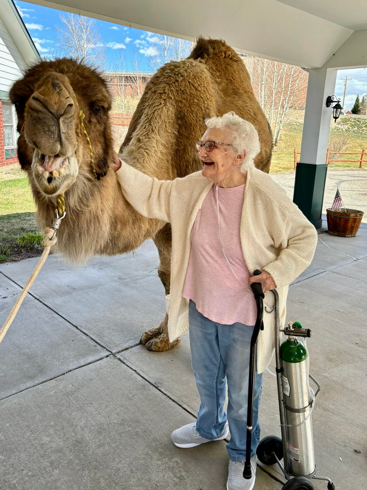 An elderly woman petting a camel