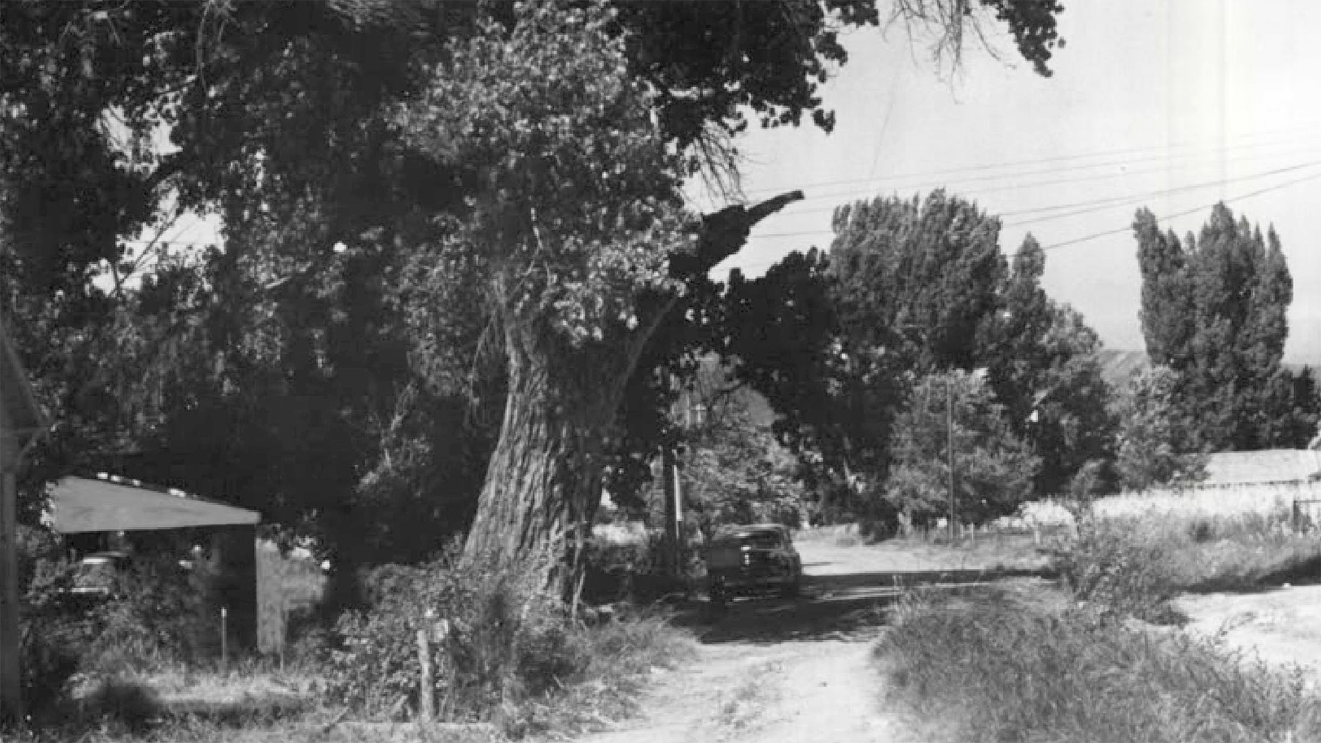 5 Historical Sites Every Curious Coloradan Should Visit