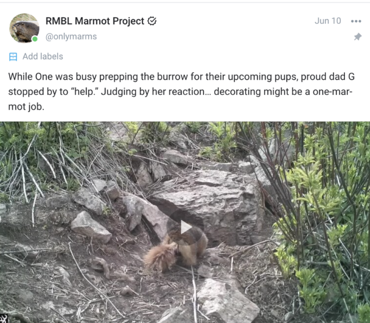 An example of the "unfiltered" content on OnlyMarms.