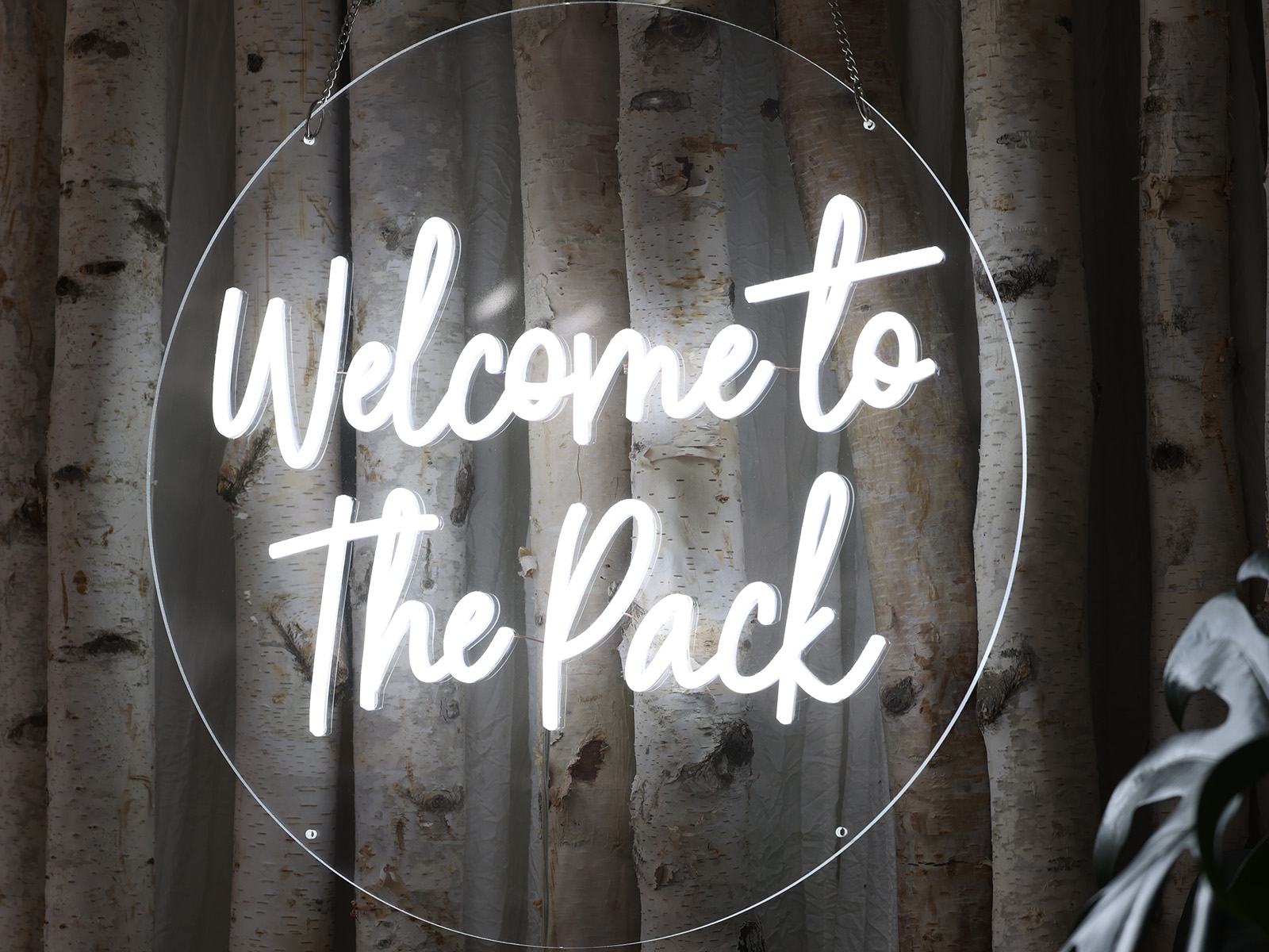 Neon sign reading "Welcome to the Pack"