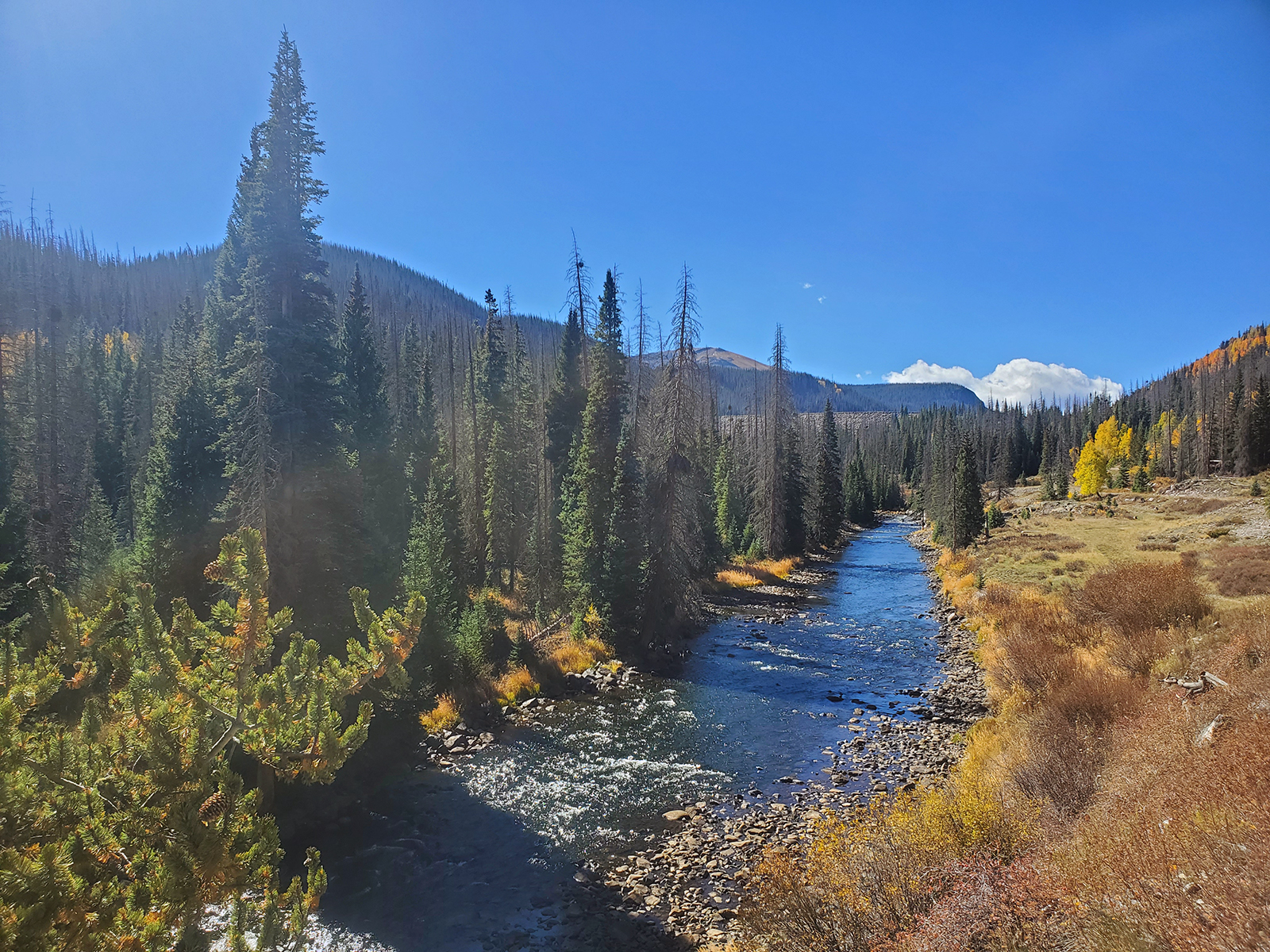A straightaway in the Conejos River in southern Colorado