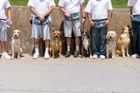 Five inmates hold dogs on leashes