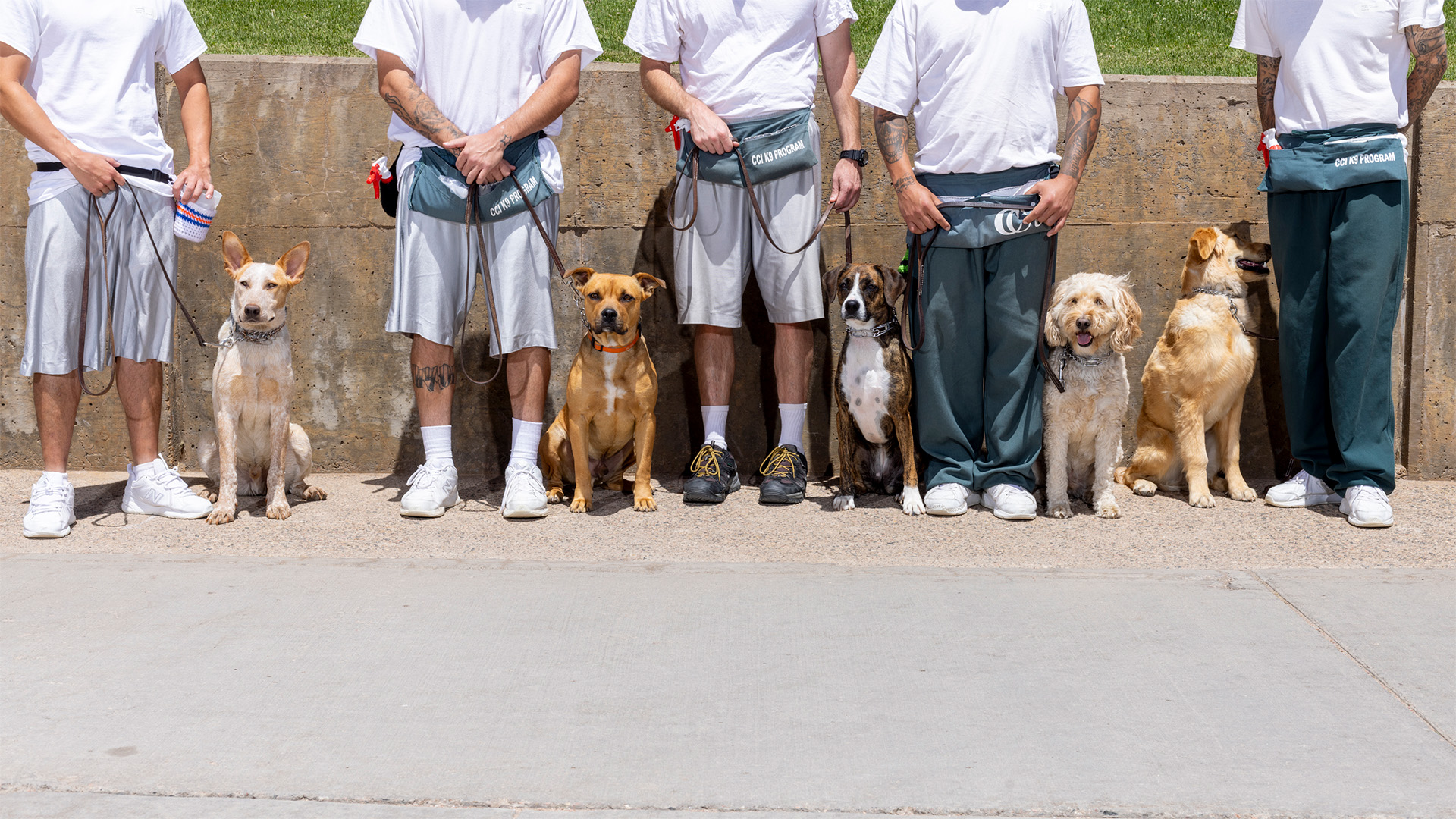 Five inmates hold dogs on leashes