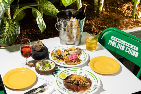 Ceviche with chips, a carne asada steak, and a trio of tacos on a white table in front of a green houseplant