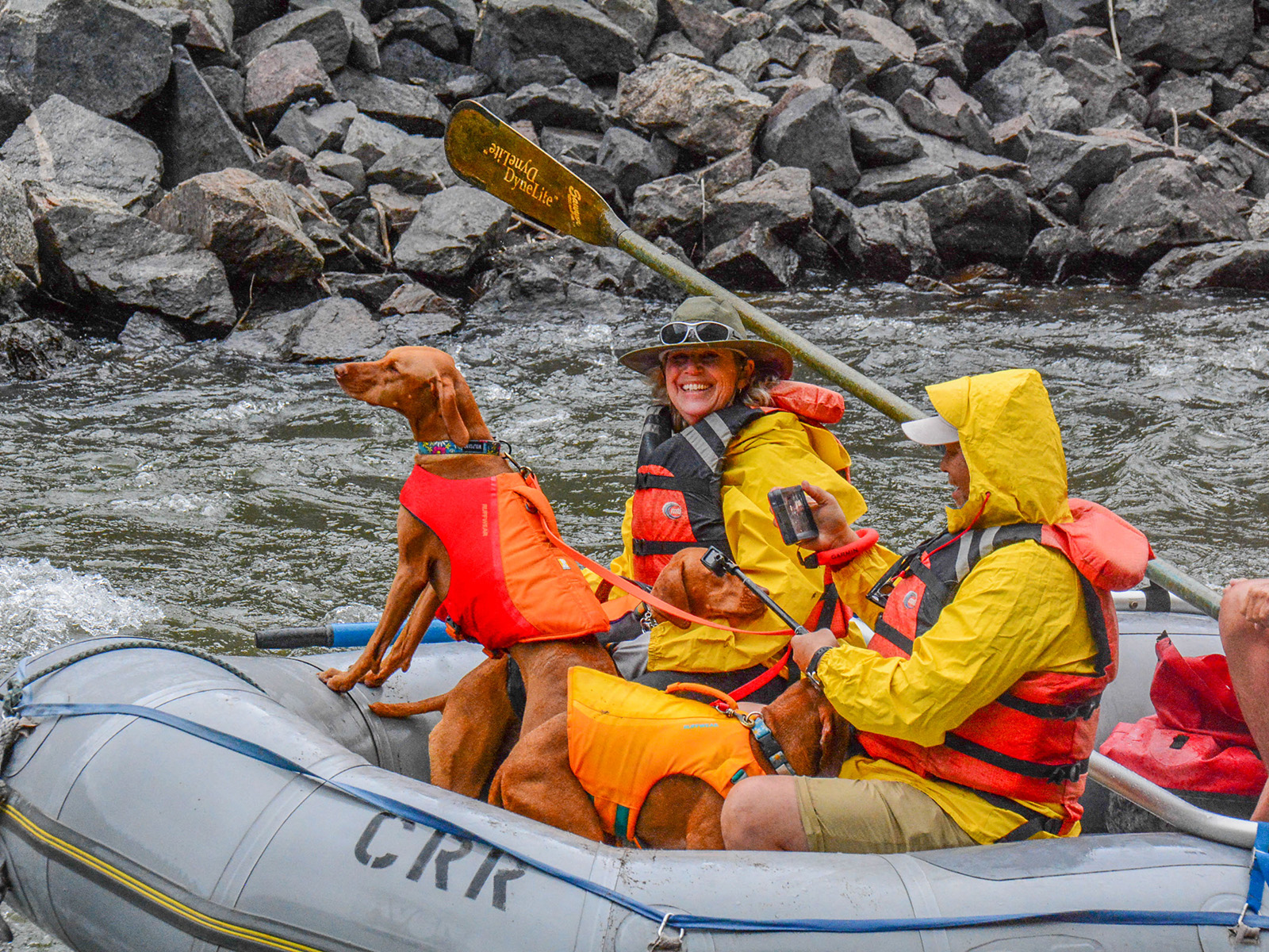 A dog perches on the edge of a raft while whitewater rafting