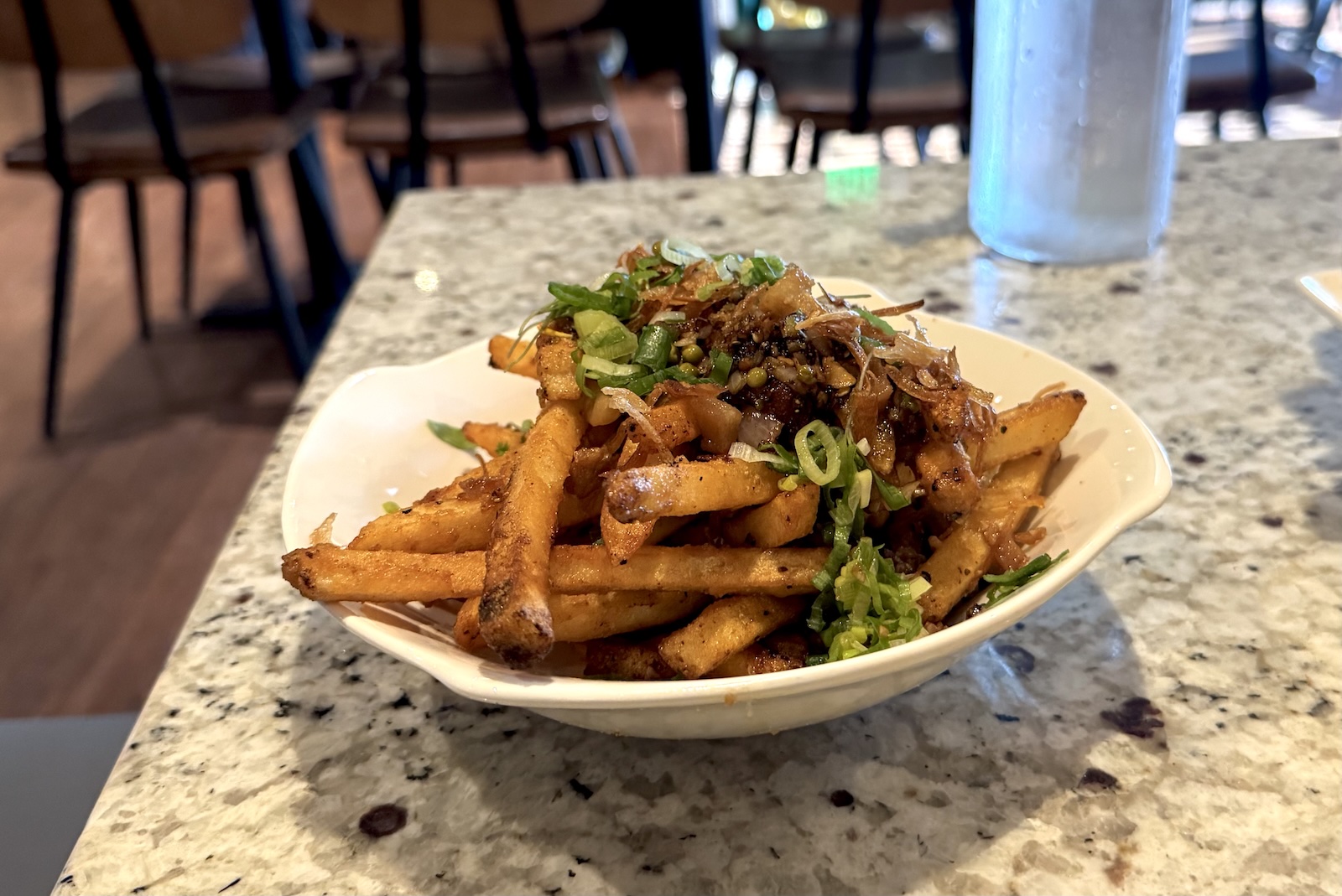 French fries topped with scallions and a dark sauce on a white plate