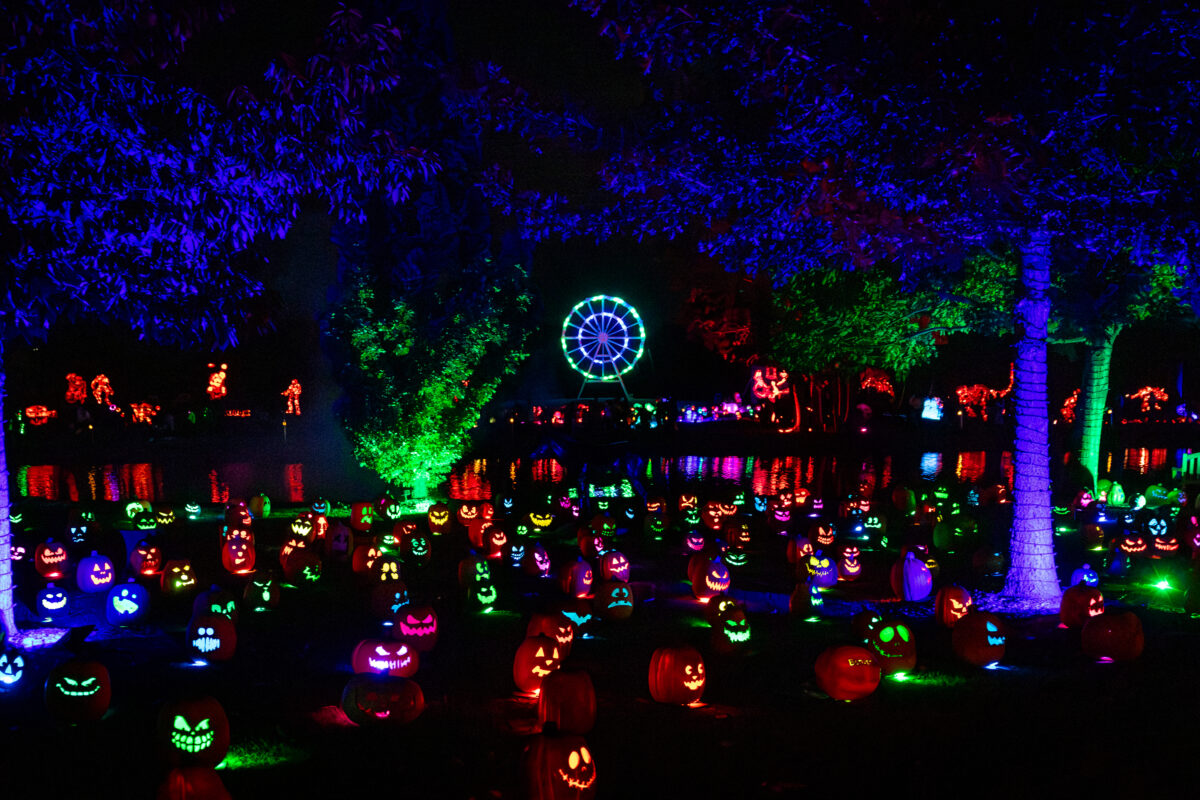 Magic of the Jack O'Lanterns