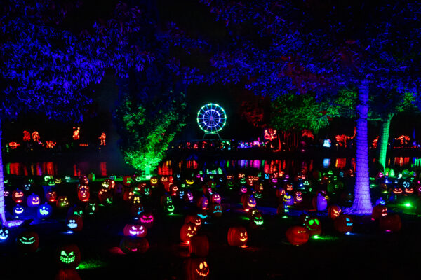 Magic of the Jack O'Lanterns