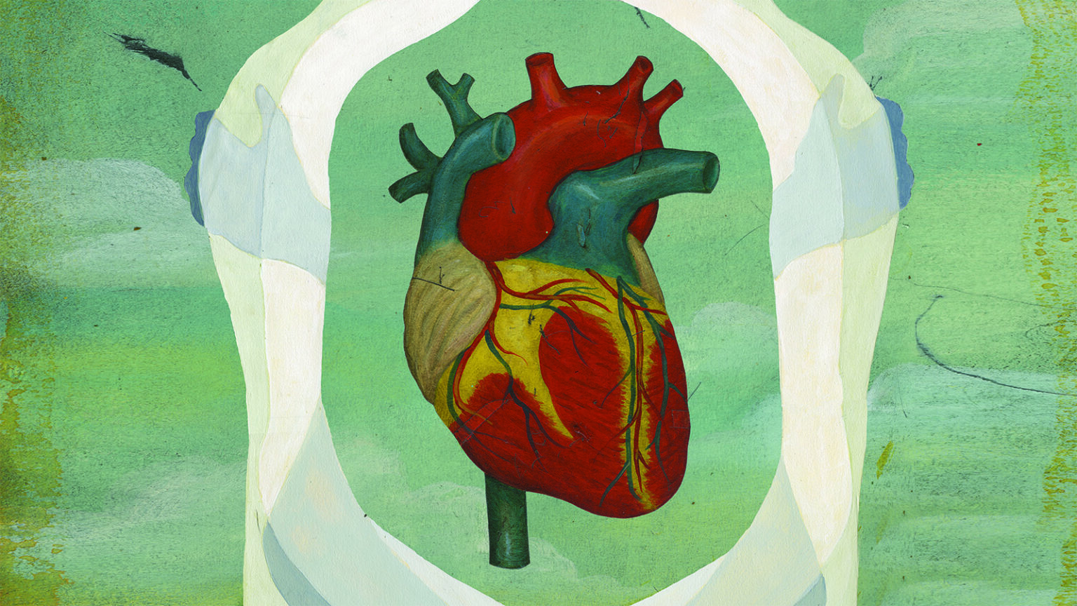 An illustration of a heart