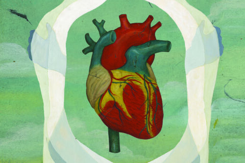 An illustration of a heart