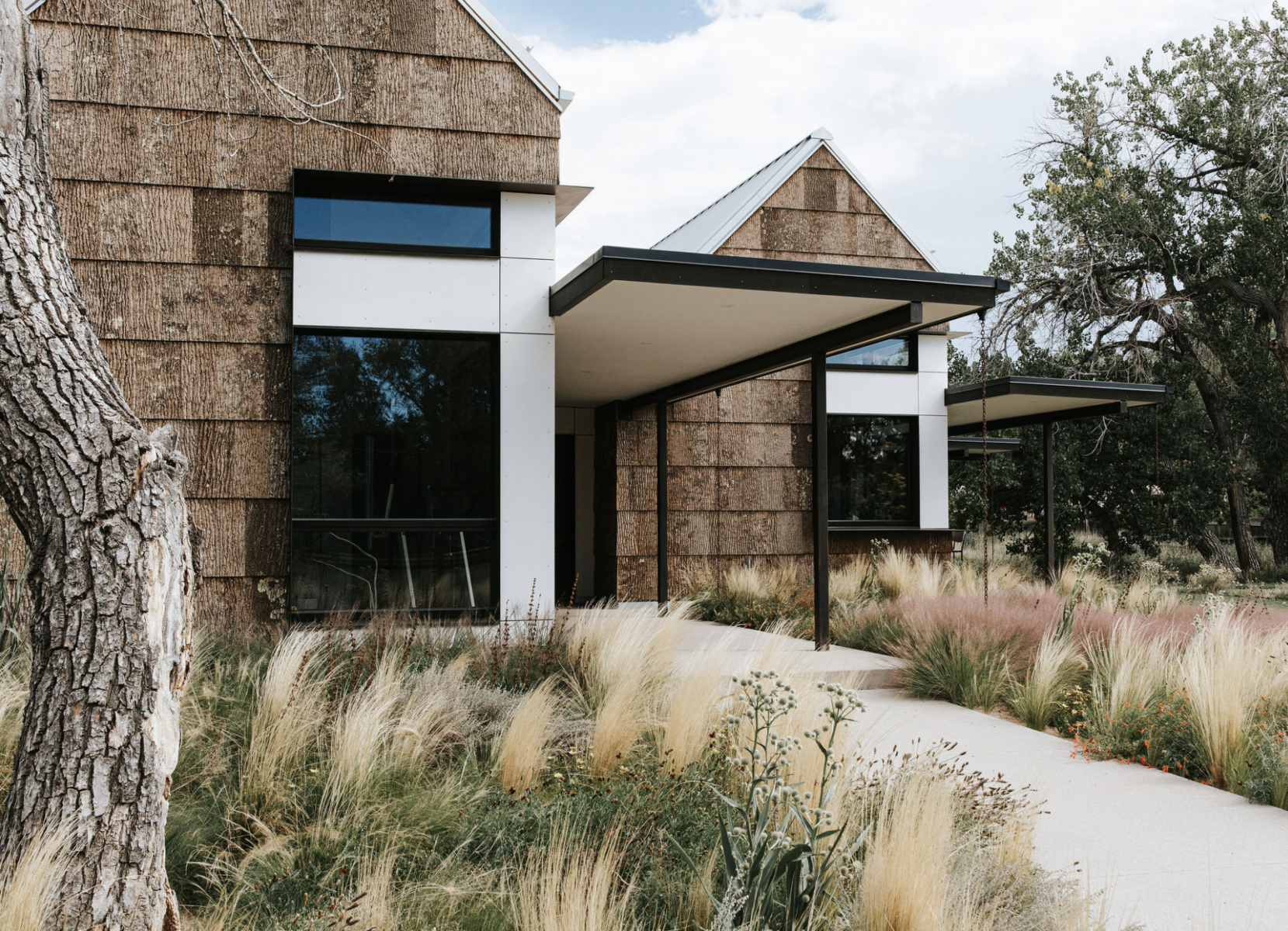 A house with tree-bark shingles