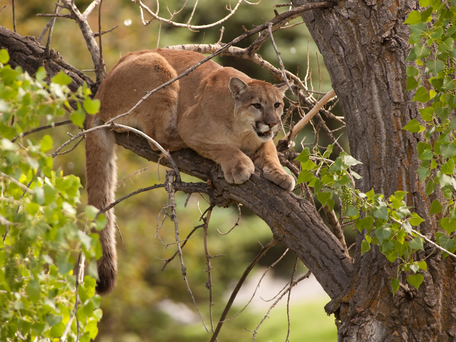 Animal control has always been tough work. Climate change is&hellip;